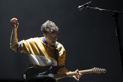 Zoo al Palau Sant Jordi (Barcelona) 